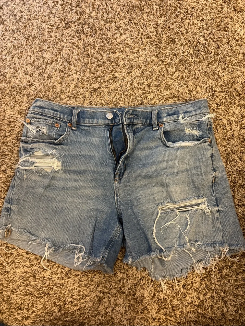 American Eagle Ex-boyfriend Baggy Shorts size 6 (stretch)